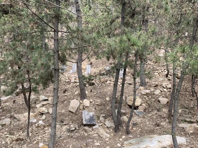 看景还是看坟？5A级风景区居然有6万多座坟墓！官方回应来了......